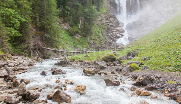 Wodospad lasu wody Szwajcaria lata zielone Zdjęcia stock © michaklootwijk