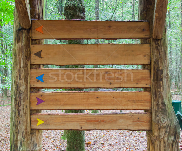 Edad capeado madera signo Forrest cartel Foto stock © michaklootwijk