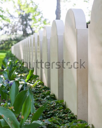 Rows of tombstones Stock photo © michaklootwijk
