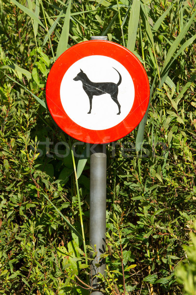 Old damaged sign in the bushes - dogs forbidden Stock photo © michaklootwijk