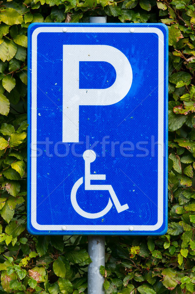 Parking sign for disable people  Stock photo © michaklootwijk