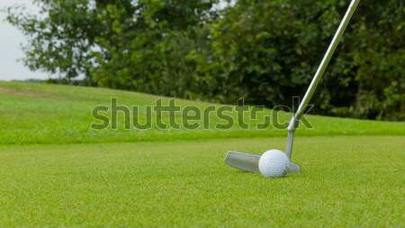 Golf ball on front of a driver Stock photo © michaklootwijk