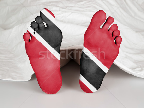 Feet with flag Stock photo © michaklootwijk
