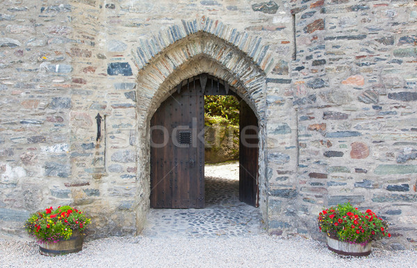 Tor alten mittelalterlichen Burg Schottland Blumen Stock foto © michaklootwijk