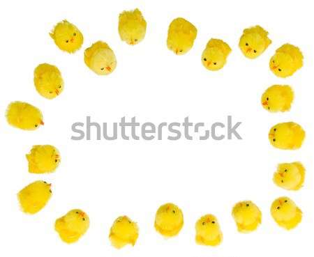 Easter chicks standing In a square Stock photo © michaklootwijk
