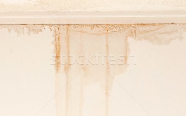 Water damaged ceiling and wall Stock photo © michaklootwijk