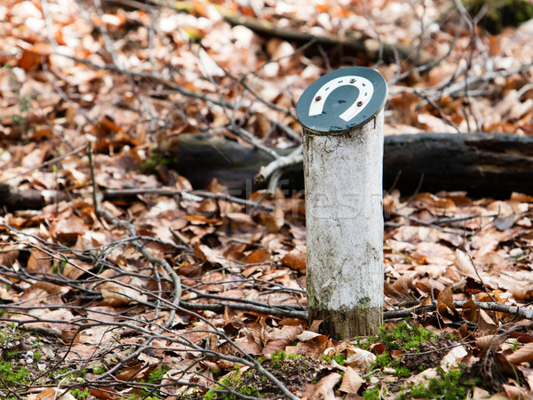 Holandés Forrest signo árboles oscuro dedo Foto stock © michaklootwijk