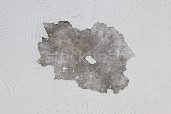Velho cinza estuque parede textura Foto stock © michaklootwijk