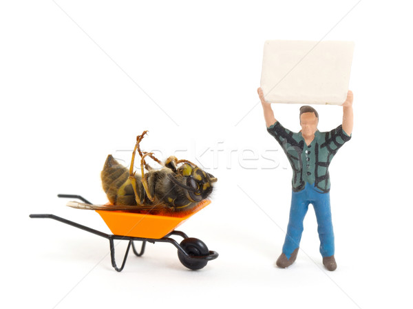 Stock photo: Dead wasp in a miniature wheelbarrow