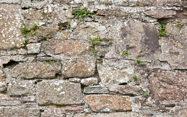 Antique natural stonewall Stock photo © michaklootwijk