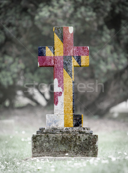 Grabstein Friedhof Maryland alten verwitterten Gras Stock foto © michaklootwijk