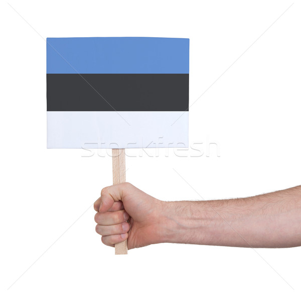 Hand holding small card - Flag of Estonia Stock photo © michaklootwijk