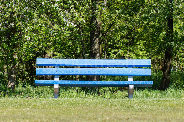 Stock photo: Blue bench in a public park