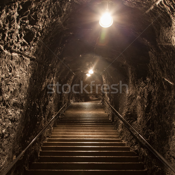 Cave in Switzerland Stock photo © michaklootwijk