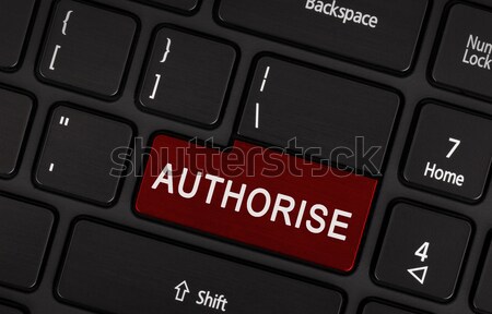 Laptop button - Authorise Stock photo © michaklootwijk