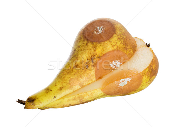 Close up of a pear with white area of fungus growing on it, sele Stock photo © michaklootwijk