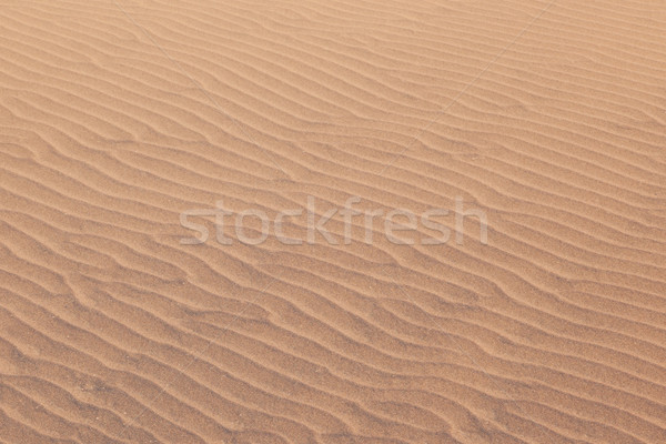 Patterns in the sand in the Namib desert Stock photo © michaklootwijk