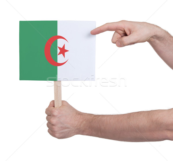 Mão pequeno cartão bandeira Argélia Foto stock © michaklootwijk