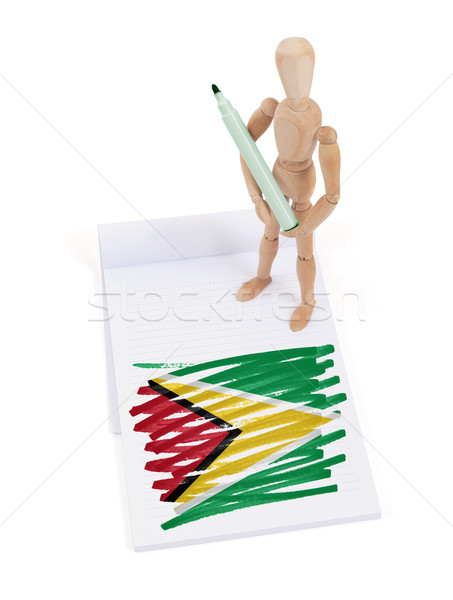 Holz Schaufensterpuppe Zeichnung Guyana Flagge Papier Stock foto © michaklootwijk