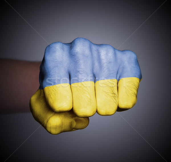 Fronte view pugno grigio bandiera Ucraina Foto d'archivio © michaklootwijk