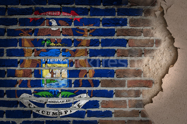 Escuro parede de tijolos gesso Michigan textura bandeira Foto stock © michaklootwijk