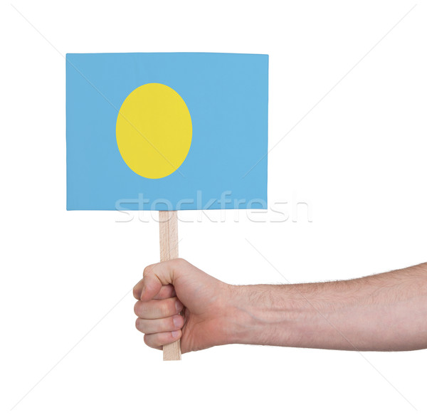 Kéz tart kicsi kártya zászló Palau Stock fotó © michaklootwijk