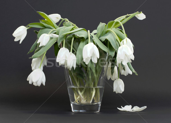 Vase full of droopy and dead flowers Stock photo © michaklootwijk