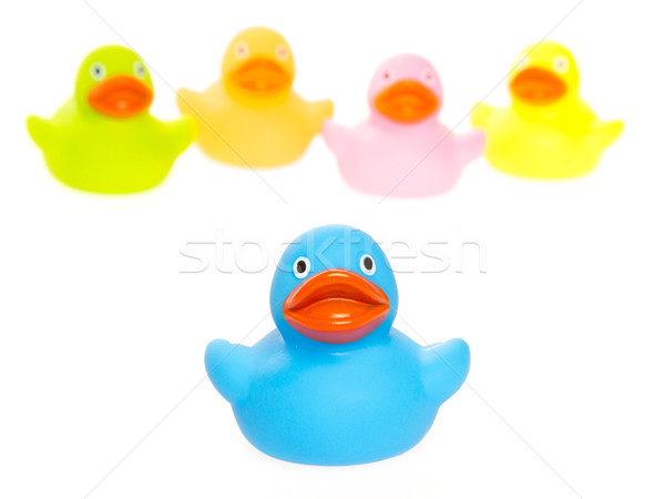 Rubber ducks isolated Stock photo © michaklootwijk