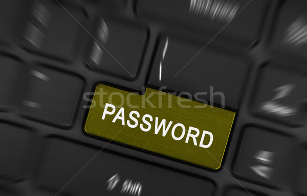 Text password button Stock photo © michaklootwijk