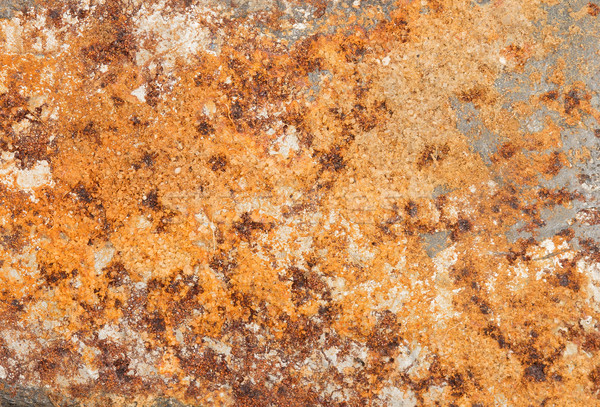 Rust backgrounds - Metal covert in rust Stock photo © michaklootwijk