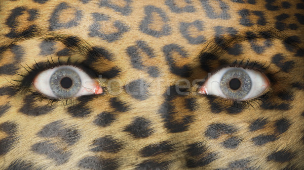 Women eye, close-up, leopard Stock photo © michaklootwijk