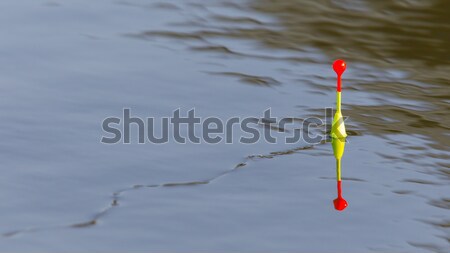 Fischerei Schwimmkörper schwimmend alten Wasser Natur Stock foto © michaklootwijk