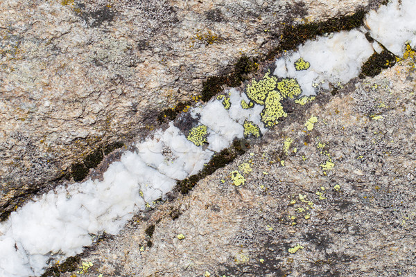 Vechi stâncă piatră textură natură Imagine de stoc © michaklootwijk
