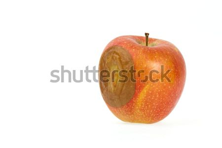 Ein schlecht roten Apfel isoliert weiß Essen Stock foto © michaklootwijk