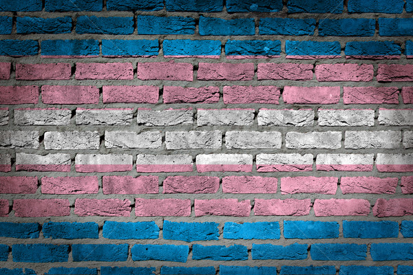 Dark brick wall - Trans Pride Stock photo © michaklootwijk