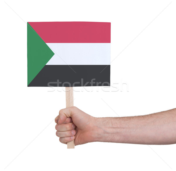 Mano piccolo carta bandiera Sudan Foto d'archivio © michaklootwijk
