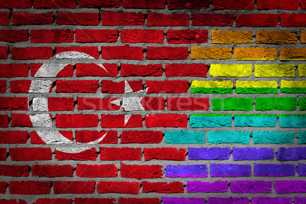 Oscuro pared de ladrillo derechos textura bandera arco iris Foto stock © michaklootwijk