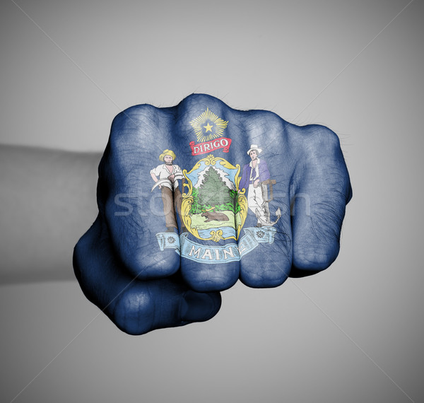United states, fist with the flag of a state Stock photo © michaklootwijk