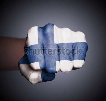 Front view of punching fist Stock photo © michaklootwijk