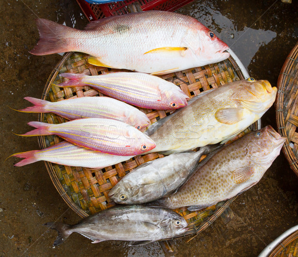 Close up of lovely fresh fish in a wet market  Stock photo © michaklootwijk