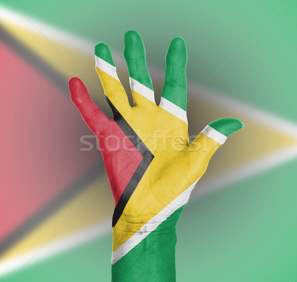 Palm vrouw hand geschilderd vlag Guyana Stockfoto © michaklootwijk