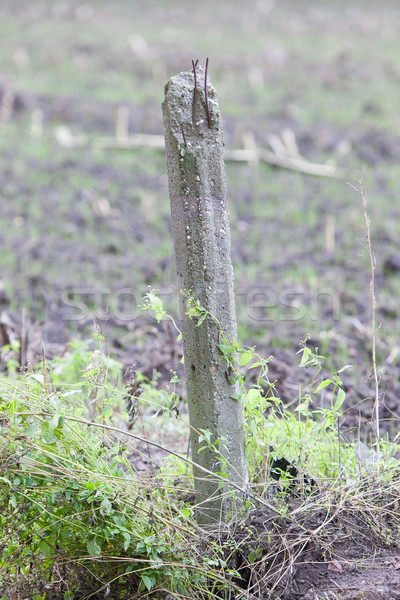 Broken concrete pole in a field Stock photo © michaklootwijk