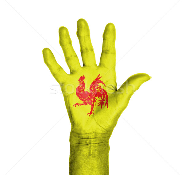Stock photo: Palm of a woman hand, painted with flag
