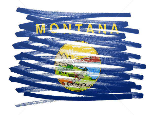 флаг иллюстрация Монтана пер бизнеса краской Сток-фото © michaklootwijk