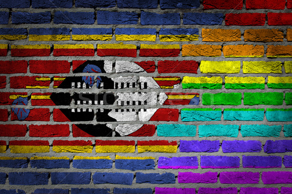 Escuro parede de tijolos direitos Suazilândia textura bandeira Foto stock © michaklootwijk