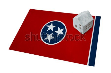 Stock photo: Flag burning - Tennessee