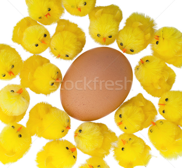 Easter chicks surrounding a large egg Stock photo © michaklootwijk
