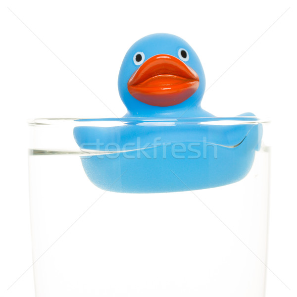 Blue duck Stock photo © michaklootwijk