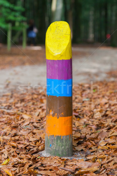 Painted marking in a dutch forrest Stock photo © michaklootwijk