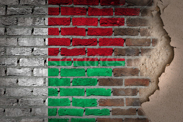 黑暗 磚牆 石膏 馬達加斯加 質地 旗 商業照片 © michaklootwijk